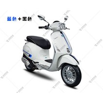 베스파 스프린트125 튜닝스티커 스크래치방지 필름 커스텀 DIY 데칼 카본, 화이트카 블루+블랙