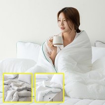 듀이 텐셀 차렵이불SS 2컬러