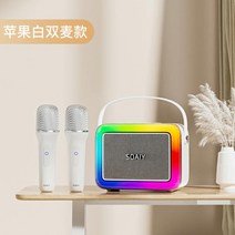 소니 에릭슨 SK10 블루투스 스피커 홈 가라오케 마이크 오디오 마이크 무선 야외 노래 가족 ktv 하나, 애플 화이트 더블 밀