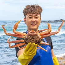 [선주직송] 이프로마켓 포항 제철 대게 홍게 연지홍게 박달게, 자숙연지홍게, [황금장]2kg(6-10마리), 1개