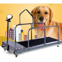 강아지 훈련소 런닝머신 학교 실내 수중 재활 운동, C100