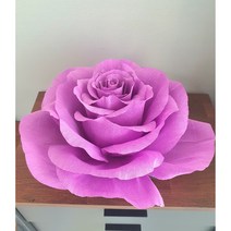 자이언트플라워 자이언트 장미 페이퍼플라워, 핑크