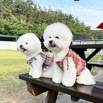 쥬비코 플레이드 지지미 블라우스