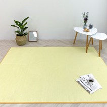 [모두의러그] 데일리 단모 극세사 사계절 러그 100X100 정사각, 색상:아이보리