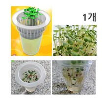 씨앗발아 무순 새싹기르기 엄마표과학 뿌리변화 성장모형 생물학 호기심 홈스쿨, 5인용