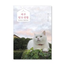 [야옹서가]제주탐묘생활 : 히끄네 집 두 번째 이야기, 야옹서가, 이신아