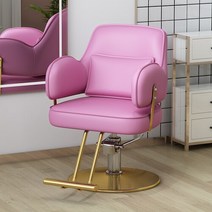 바버샵의자 이발소의자 럭셔리 회전 안락 의자 미적 스타일링 전문 이발 살롱 트리트먼트 세디아 기레 가구 LJ50BC, 8.gold disc