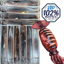 up102% 국산 초콜릿 오징어 20미 3kg