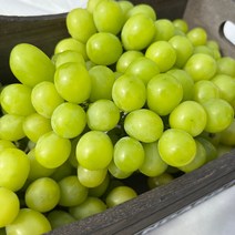 [달콤한과일] 당일경매 당일발송 고당도 샤인머스켓 2kg, 2kg 4수 정품
