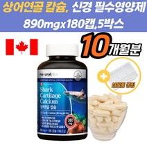 마그네슘 칼슘영양제 잇몸에좋은 상아연골 영양제 뼈영양제 칼슘