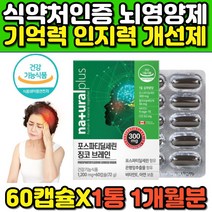 포스파티딜세린 ps 기억력 인지력 영양제 징코 브레인 은행잎 추출물 플라보놀배당체 gmo 대두레시틴 포스파티딜콜린 수험생 고등학생 필수 개선제 홈쇼핑 추천