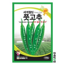 웰빙풋고추 100립 / 고추씨앗 고추씨 풋고추 고추종자