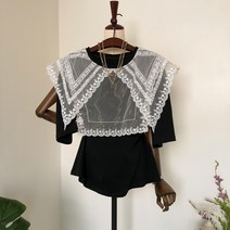 시그널러브 여성용 베베 레이스 카라 티셔츠 3col JD408