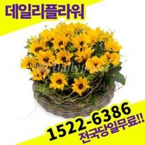 해바라기 꽃바구니 꽃배달서비스 당일배송