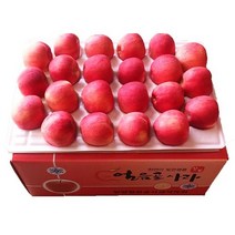 [화명농원] 밀양 얼음골사과 햇부사 가정용 중소과 5kg 19과 22과 25과 가정용 못난이, 가정용 5kg 19과, 1개