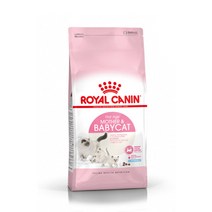 로얄캐닌 고양이 사료 2kg~10kg [H의커피 드립백 증정], 2kg, 마더앤베이비캣