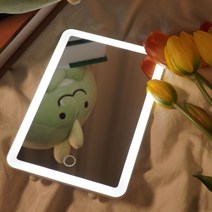 라도 무선 탁상거울 USB타입 LED조명, 화이트