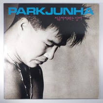 (중고LP) 박준하 지금까지와는 달라 (자켓 음반 상태 최상. 가사지 있음)
