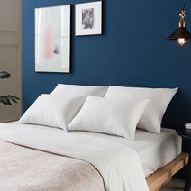 1+1 정품 후레쉬에버 솜 구름 경추 항균 베개솜 40X60 50X70, 구름솜 일반 베개