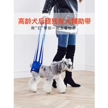 애완용품 슬개골탈구 장애견 다리밴드 휠체어 고령견년 노령개 뒷다리조력병 장애 마비된 강아지 보조대 척추후지, 02 울트라 블랙 블루, 01 XXL사이즈를 정확하게 측정해죠