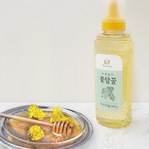 성원경 두레생협 아카시아꿀500생꿀, 1개, 해당 상품 선택하기