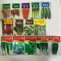 루아데코 뿌리채소 채소재배 씨앗 모음 당근 대파 베란다 옥상 텃밭만들기 미니텃밭