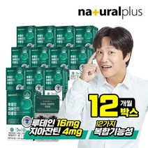 내츄럴플러스 차태현 루테인 지아잔틴(16대4비율) 더블업 12박스/12개월, 기타