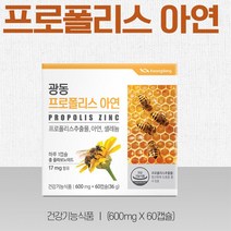 광동 프로폴리스 아연 면역력강화 영양제 60캡슐
