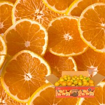 [제주열매] 고당도 감귤 서귀포 산지직송, 1box, 중대과-8kg