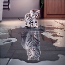 China 백호 물에 비친 호랑이 새끼 고양이 맹호 맹수 보석십자수 DIY키트 비즈십자수 대형사이즈 비즈공예, 40x50cm