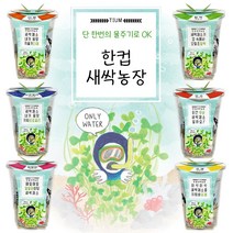 한컵새싹농장 씨앗키우기 6종 / 모종키우기 체험학습재료 원예체험 꽃, 알팔파