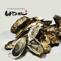 (주)우진 통통한 알맹이 찜 구이용 석화(각굴), 20kg