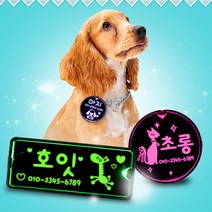 LED강아지 이름표 사각롱, 핑크_사각롱