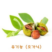 오가닉골든호호바오일 100ml/유기농/호호바유/조조바오일/ORGANIC Golden jojoba oil/비정제/천연화장품, 100ml, 100ml