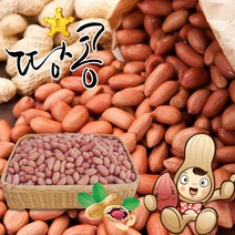 황토배기 고창 생알땅콩, 4kg, 1개
