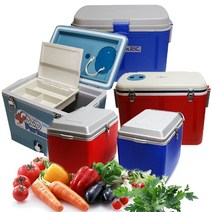 모던스토리 파트너 카니발 아이스박스 8.5리터~60리터, 8.5L