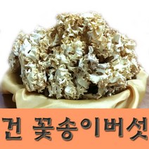 국산 친환경 건꽃송이버섯, 1개