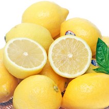 [못난이레몬140개] 레몬, 1개, 레몬 대과(140g내외) 20개입