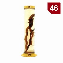 용천자연유리 담금주병 수동 46호, 6개