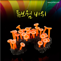 (코랄아트) 튜브웜 바위, 1개, 1개