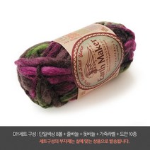 나은몰 얼스 메이커 쁘띠 목도리 털실 뜨개실 넥워머 무릎담요 뜨기, DIY세트 734 캑터스 바이올렛, 8개