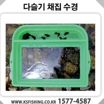 국선조구 다슬기 채집 수경, 1개