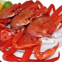 홍게 당일조업 산지직송, 1개, 3kg
