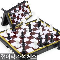 대신전자 자석체스 (50210)