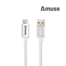 어뮤즈 USB 3.1 Gen2 C타입 고속충전케이블, 화이트실버, 1