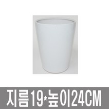 화분백화점 대형화분004, 대형화분