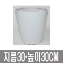 화분백화점 대형화분002, 대형화분
