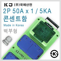 국제산전 방우2구콘센트 차단기 산업용 공업용 차단기 콘센트함, [선택10] 50Ax1 콘센트함 E52SL/PG(벽부형)