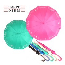 까르페디엠 12k 슈가캣 장우산