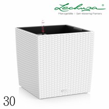 레츄자 큐비 코티지 30, 화이트(무광)